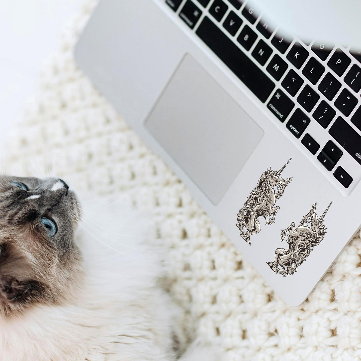 Vintage Unicorn Vinyl Decal Set - Image 5