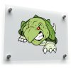 Angry Turtle Cartoon Decal