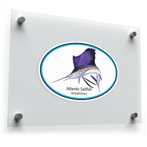 Atlantic Sailfish Sticker