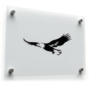 Bald Eagle Vinyl Sticker