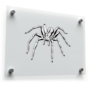 Black and White Spider Sticker