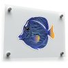 Blue Tang Fish Sticker 1