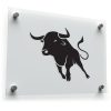 Bold Bull Silhouette Decal