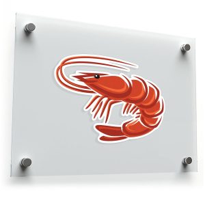 Cartoon Shrimp Sticker