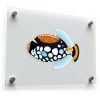 Clown Triggerfish Sticker