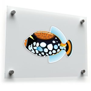 Clown Triggerfish Sticker