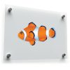 Clownfish Design Decal