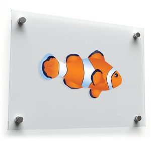 Clownfish Vinyl Sticker