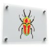 Colorful Beetle Vinyl Sticker