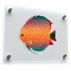 Colorful Discus Fish Sticker