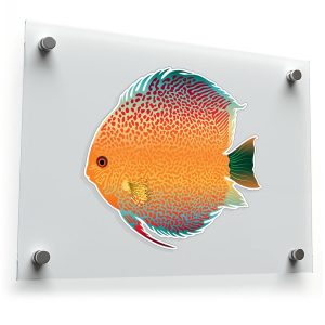 Colorful Discus Fish Sticker