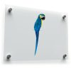 Colorful Parrot Sticker 1