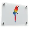 Colorful Parrot Sticker 1