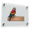 Colorful Parrot Vinyl Sticker