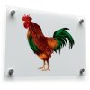 Colorful Rooster Vinyl Sticker