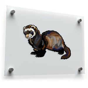 Cute Ferret Vinyl Decal