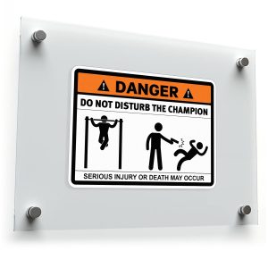 Funny Do Not Disturb the Champion Sticker