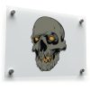 Dark Skull Decal