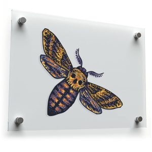 Death's-Head Moth Sticker