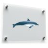 Dolphin Sticker