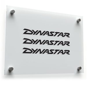 Dynastar Logo Sticker Set