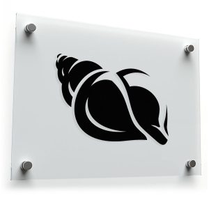 Elegant Seashell Vinyl Sticker