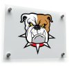 Ferocious Bulldog Head Sticker