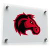 Fierce Horse Head Sticker