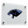 Fierce Panther Vinyl Sticker 1