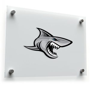 Fierce Shark Sticker