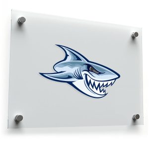 Fierce Shark Vinyl Sticker