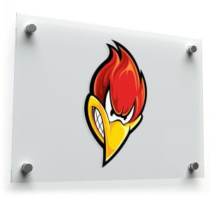 Fierce Woodpecker Cartoon Sticker