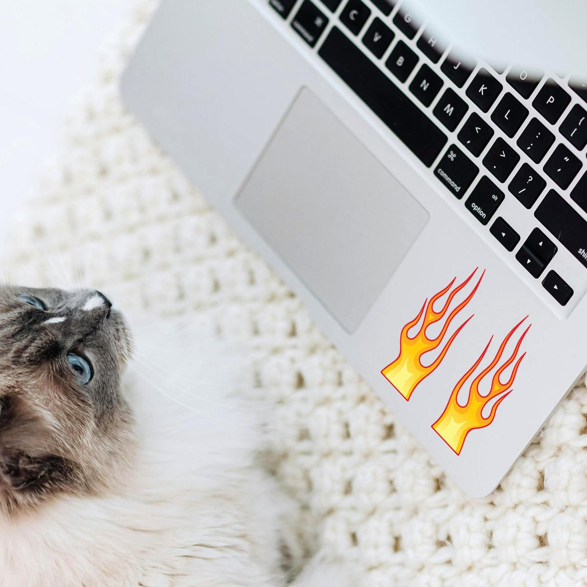 Flame Vinyl Sticker Set 8 Flame Vinyl Sticker Set - Image 6