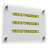Gary Fisher Logo Sticker