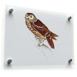 Intricate Owl Sticker