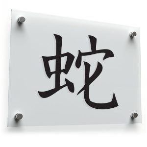 Japanese Kanji Snake Sticker