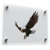 Majestic Eagle Vinyl Sticker 1