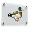 Mallard Duck Vinyl Sticker 1