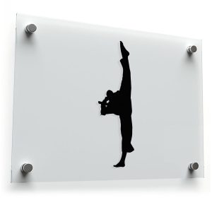 Martial Arts High Kick Silhouette Sticker