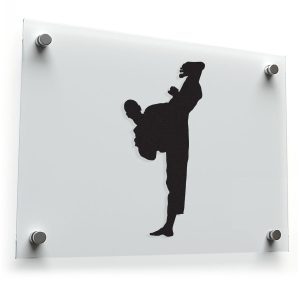 Martial Arts Kick Silhouette Vinyl Sticker