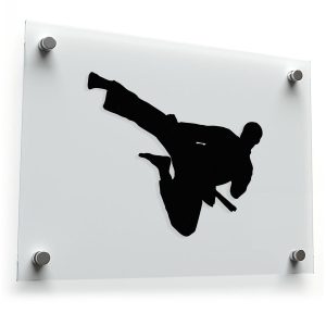 Martial Arts Silhouette Sticker