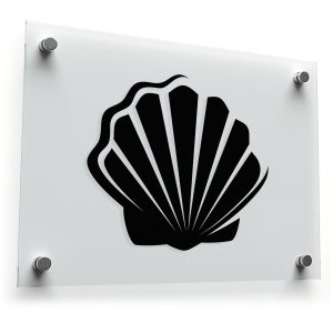 Minimalist Seashell Sticker