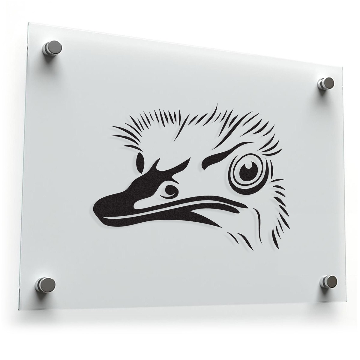 Ostrich Head Vinyl Sticker 3 Ostrich Head Vinyl Sticker