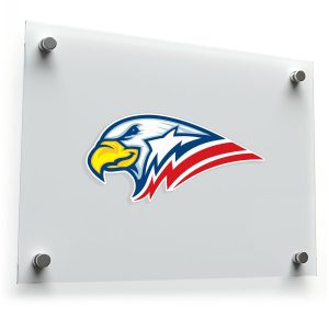 Patriotic Eagle Head Sticker