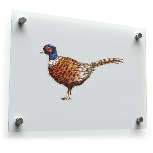 Pheasant Vinyl Sticker