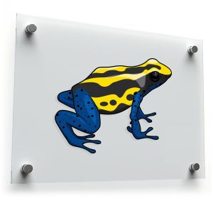 Poison Dart Frog Sticker