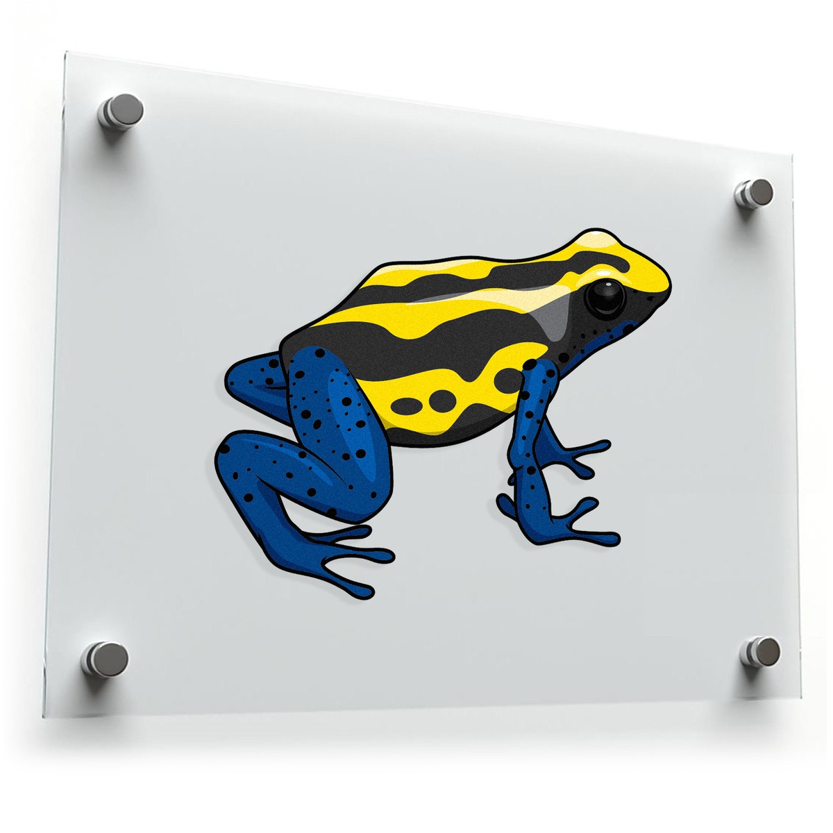 Poison Dart Frog Sticker 3 Poison Dart Frog Sticker