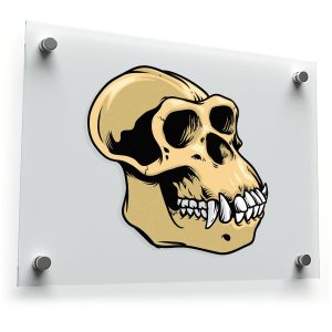 Primate Skull Sticker