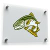 Rainbow Trout Fish Sticker