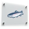 Rainbow Trout Vinyl Sticker 1